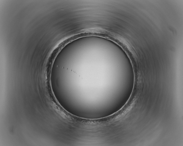 X0000111180923200907081232