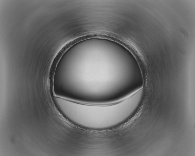 X0000111180924200907081232