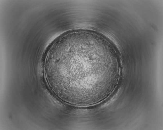 X0000111180925200907081232