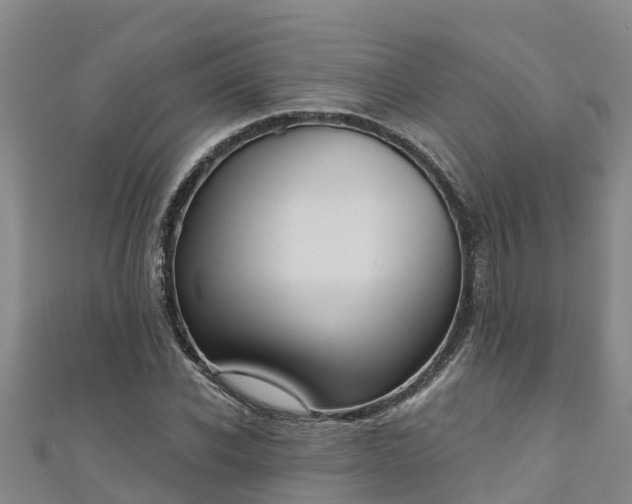 X0000111180926200907081232