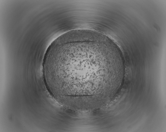 X0000111180928200907081232