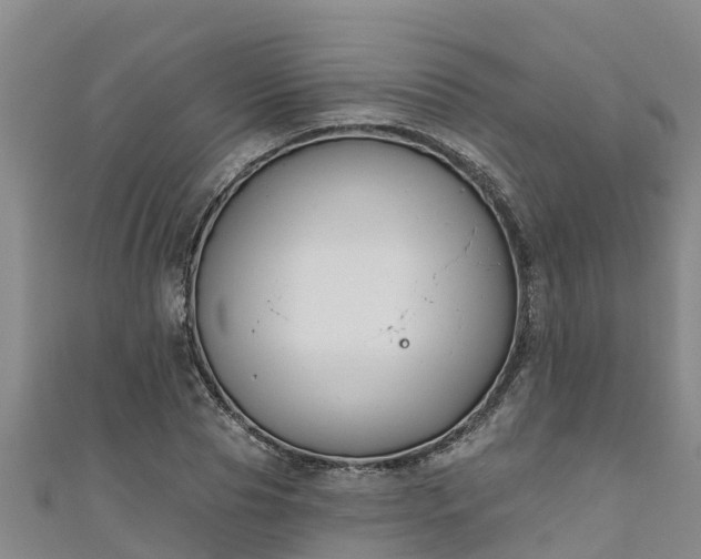 X0000111180929200907081232