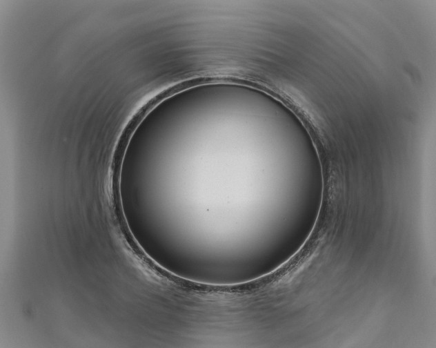 X0000111180932200907081232