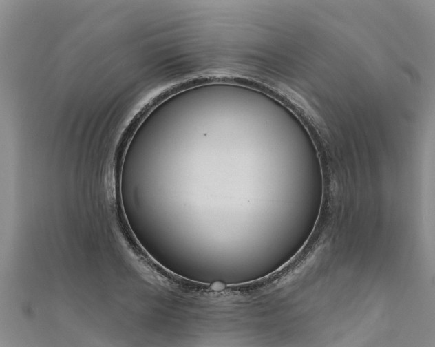 X0000111180934200907081232