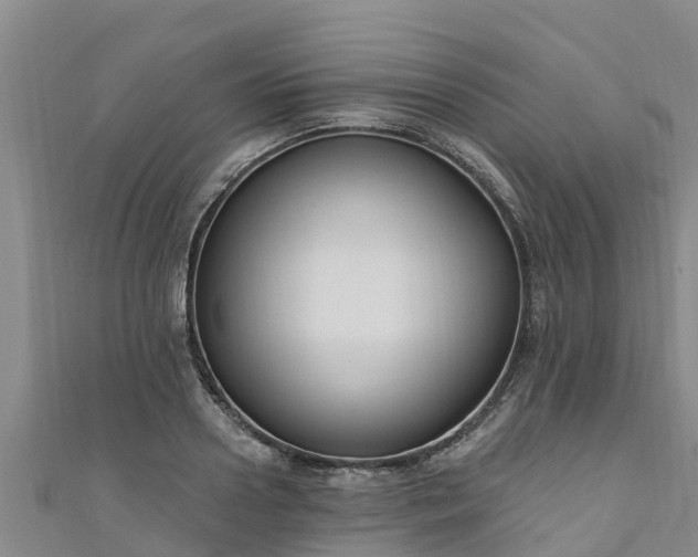 X0000111180938200907081232