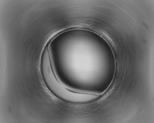 X0000111180940200907081232