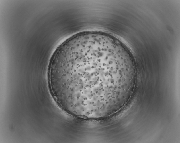 X0000111180943200907081232