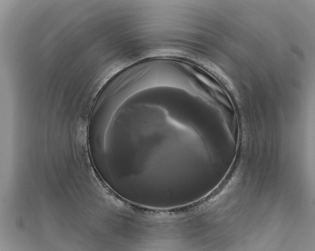 X0000111180945200907081232