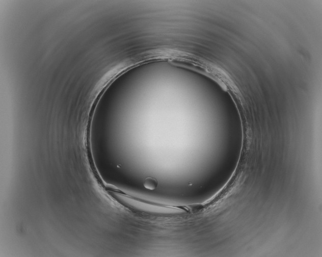 X0000111180946200907081232