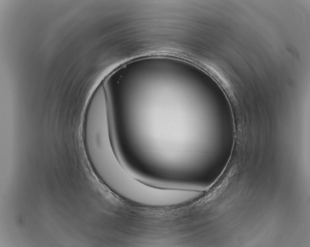 X0000111180948200907081232