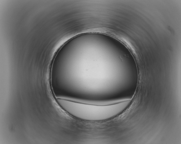 X0000111180952200907081233