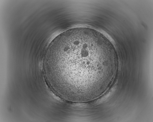 X0000111180953200907081233