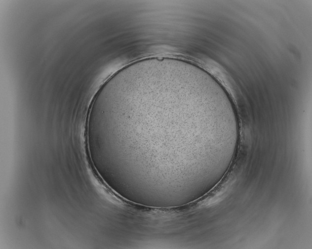 X0000111180954200907081233