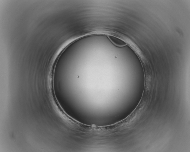 X0000111180955200907081233