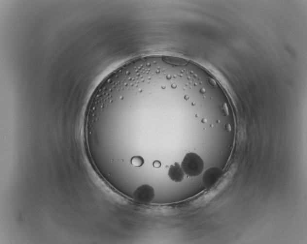 X0000111180957200907081233