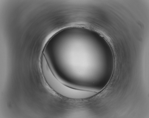 X0000111180960200907081233