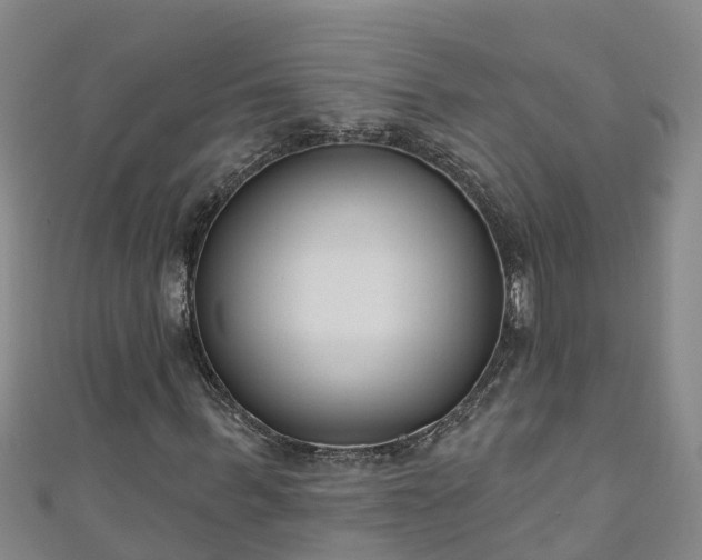 X0000111180963200907081232