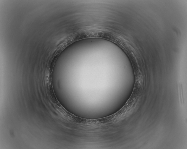 X0000111180964200907081232