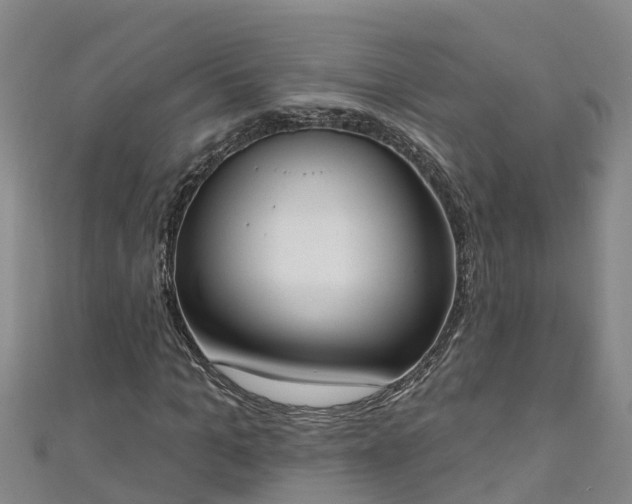 X0000111180965200907081232