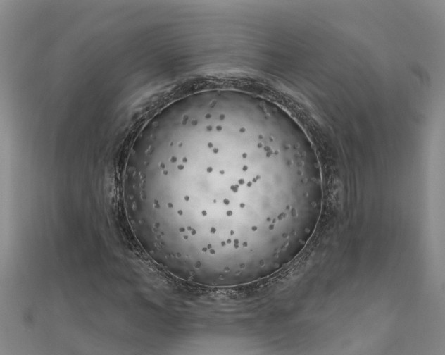 X0000111180966200907081232