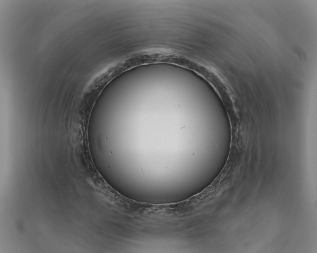 X0000111180967200907081232