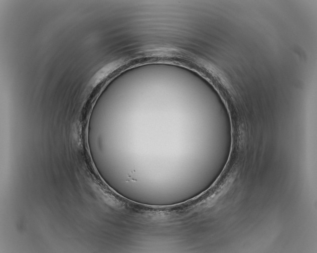 X0000111180970200907081232