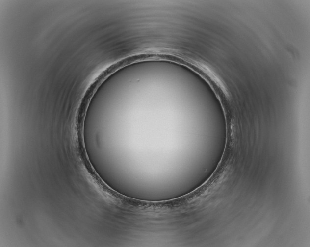 X0000111180972200907081232