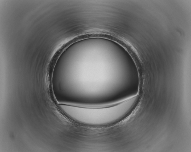 X0000111180973200907081232