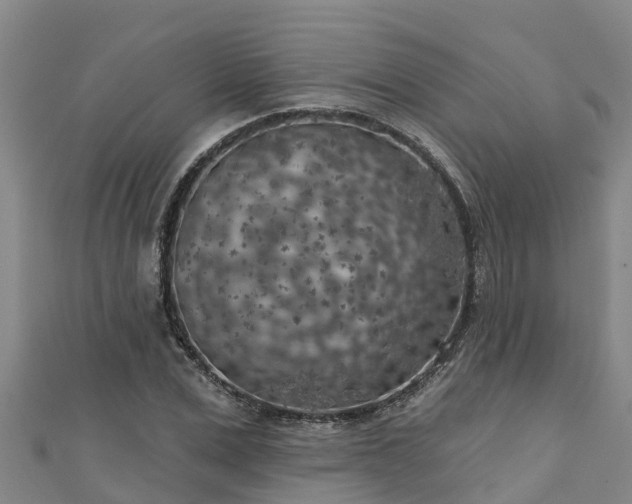 X0000111180975200907081232