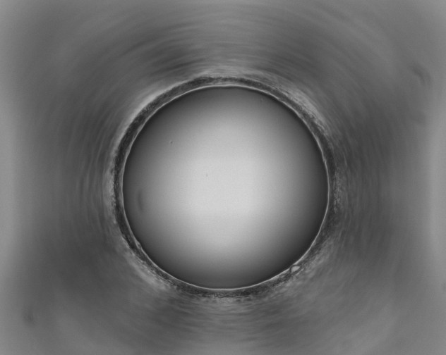 X0000111180976200907081232