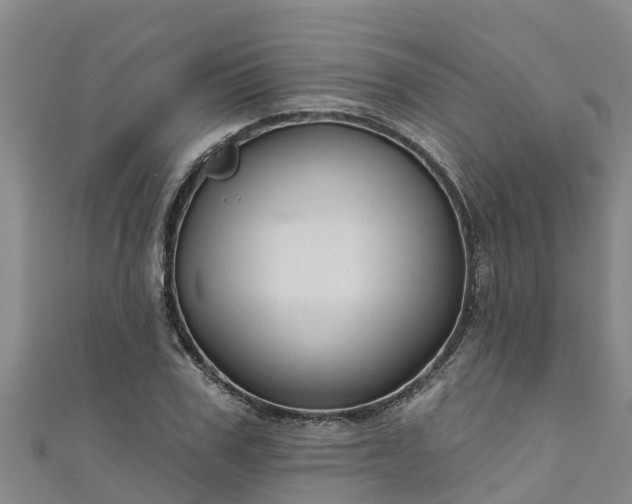 X0000111180979200907081232