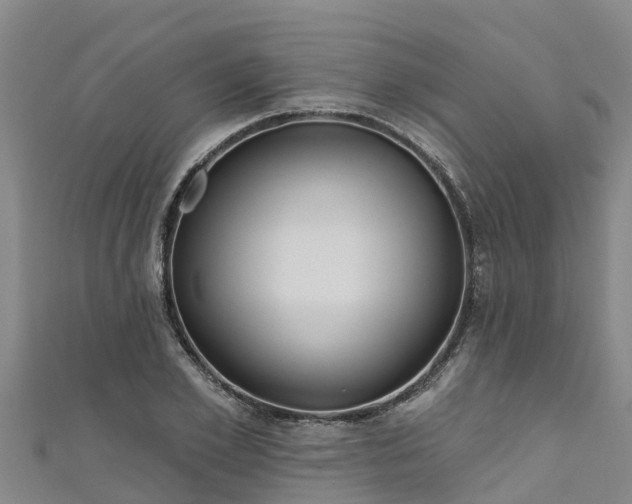 X0000111180981200907081232