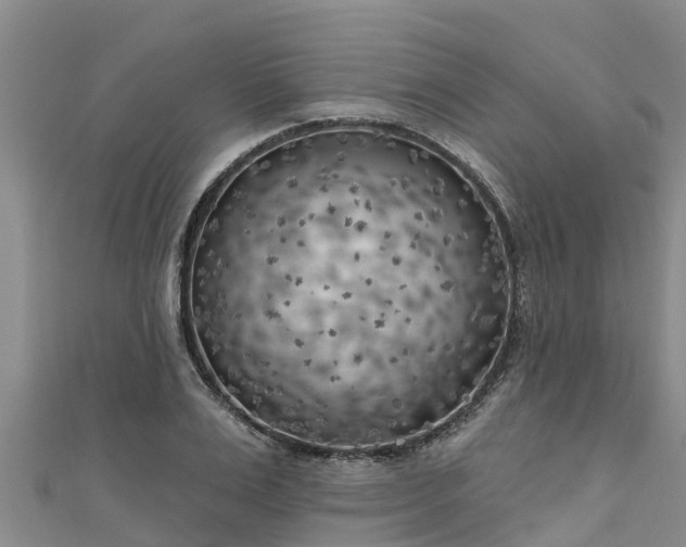 X0000111180983200907081232