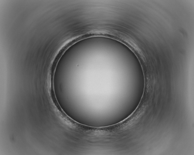 X0000111180984200907081232