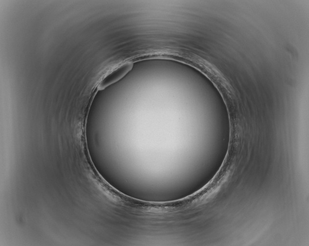 X0000111180985200907081232