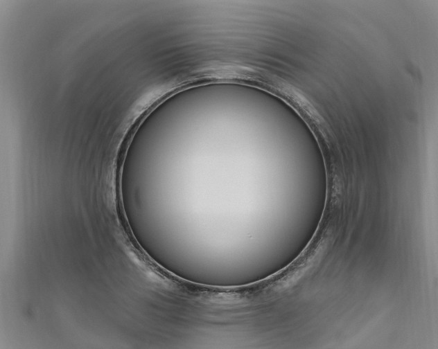 X0000111180986200907081232