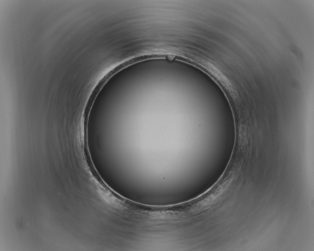 X0000111180988200907081232