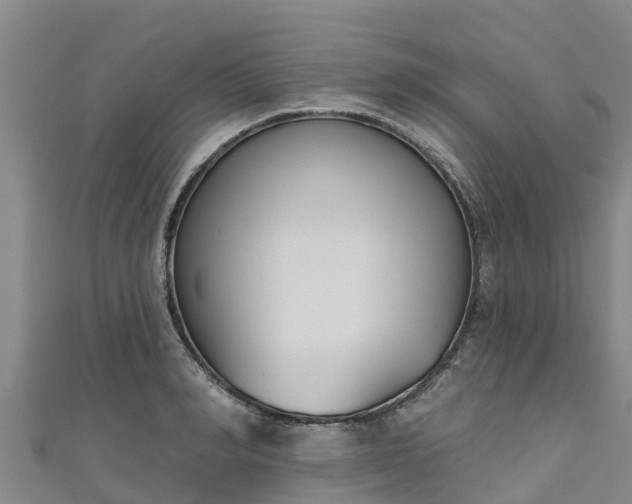 X0000111180990200907081232