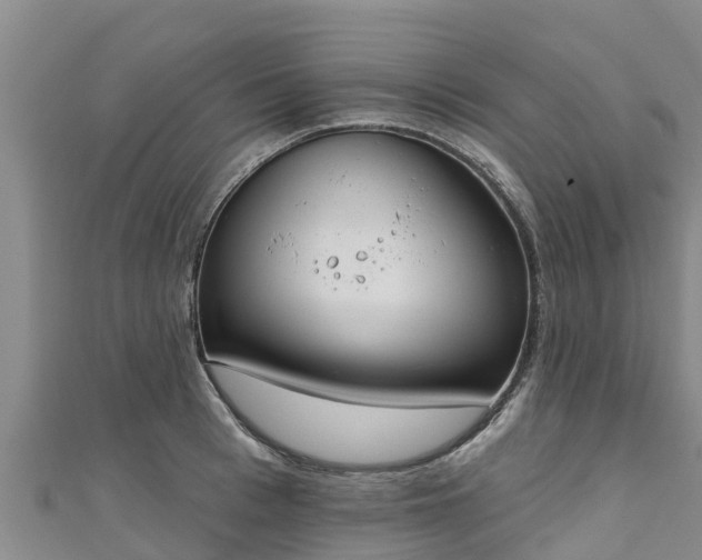 X0000111180993200907081232