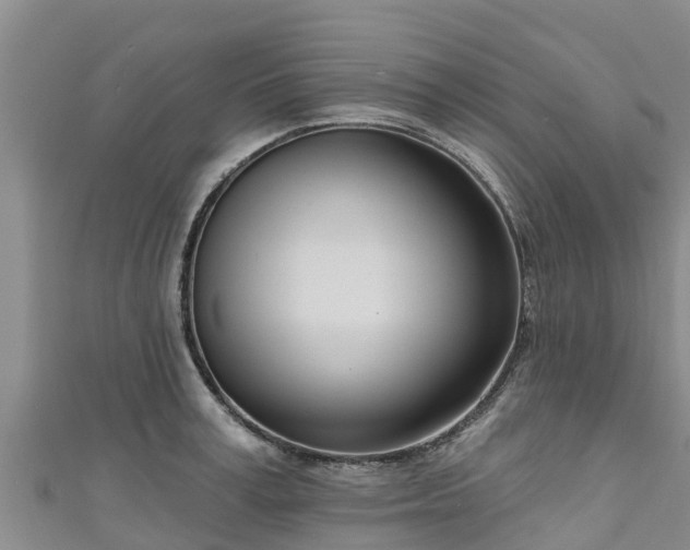 X0000111180995200907081232