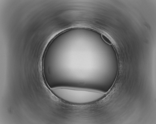 X0000111180996200907081232