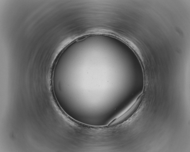 X0000111180997200907081232