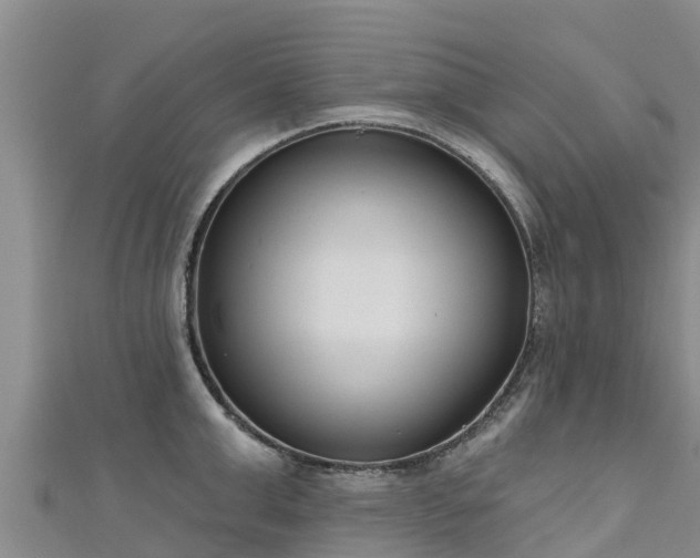 X0000111180999200907081231