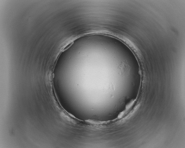 X0000111181001200907081231