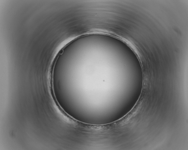 X0000111181003200907081231