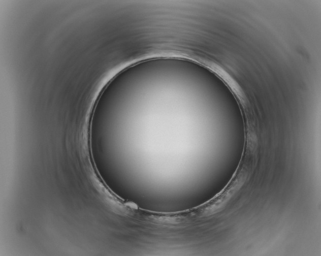 X0000111181004200907081231