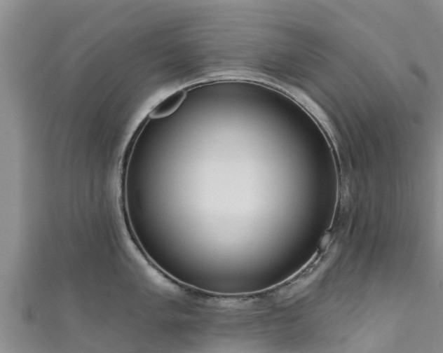 X0000111181005200907081231