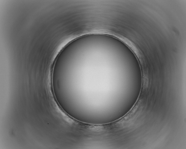 X0000111181006200907081231