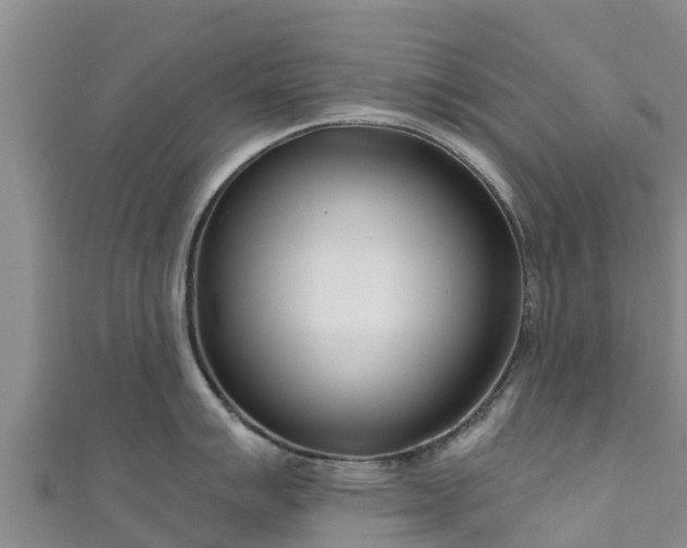 X0000111181007200907081231