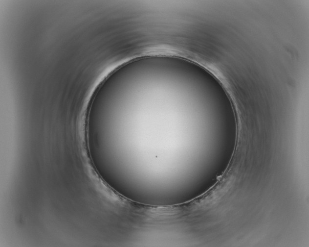 X0000111181008200907081231